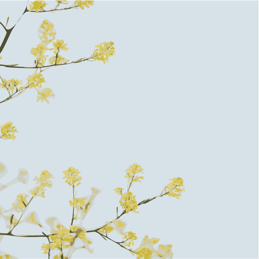 annie spratt nmbhsivbgem unsplash