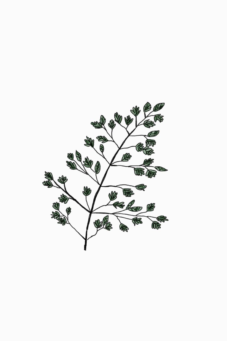 annie spratt fm0f zukjfs unsplash