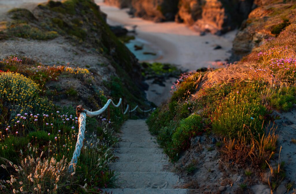 yousef espanioly tb8zizjtyj0 unsplash