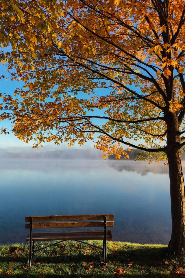 Qu'est-ce que la kinésiologie ? Une méthode bien-être.